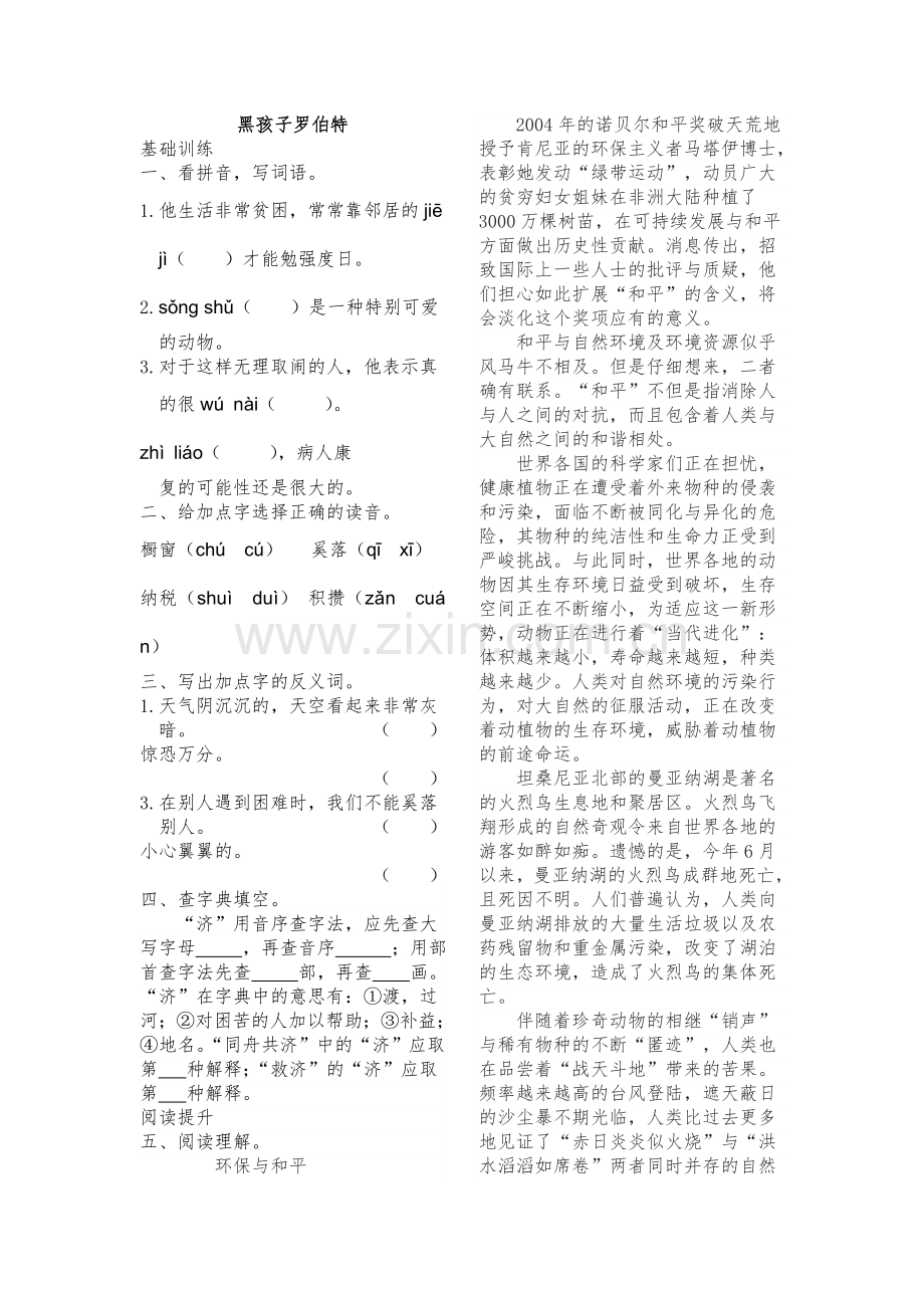 黑孩子罗伯特练习题及答案北师大版.doc_第1页