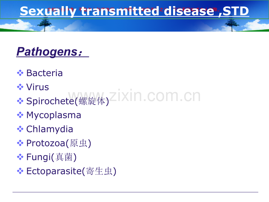 性传播疾病STD双语教学培训课件.ppt_第3页