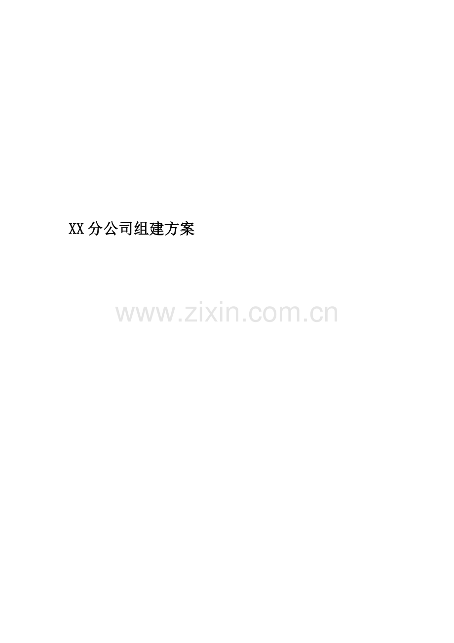 XX分公司组建方案.docx_第1页