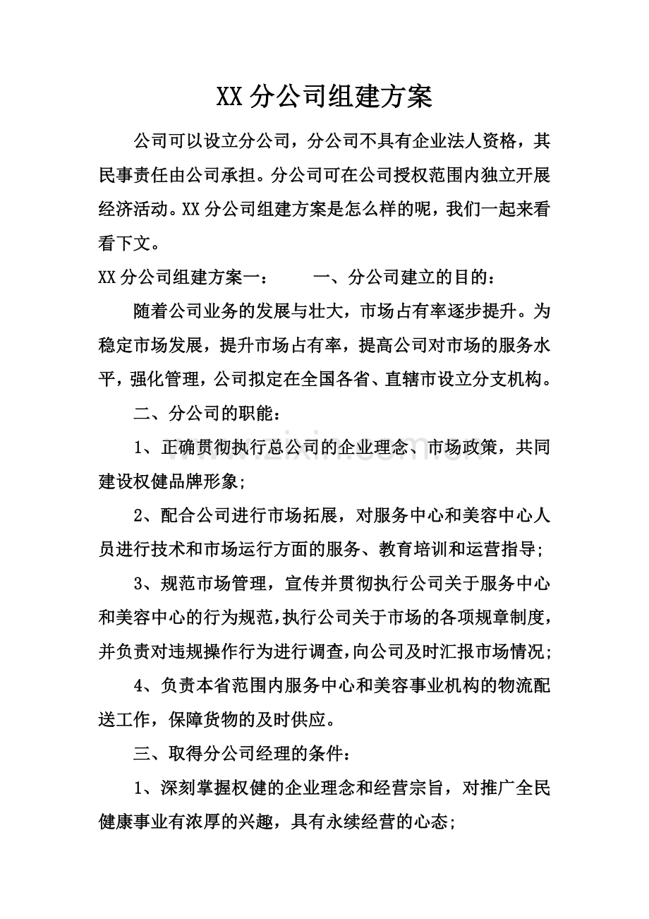 XX分公司组建方案.docx_第2页