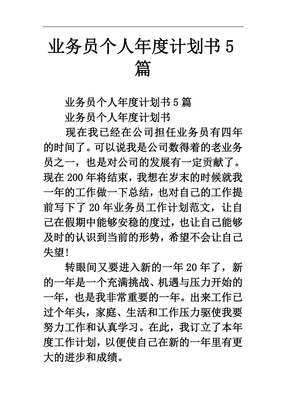 业务员个人年度计划书5篇.docx_第2页