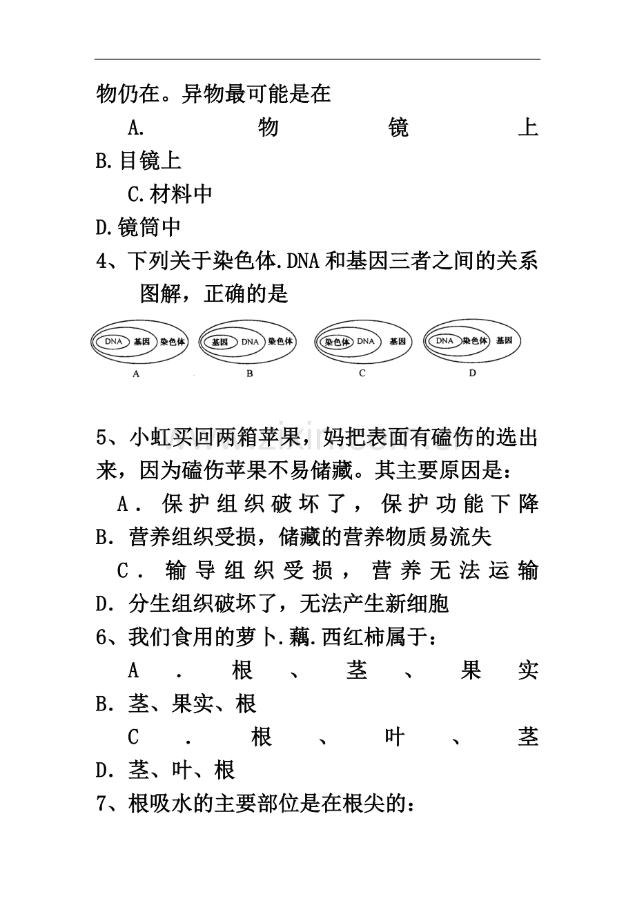 七上八下期中测试卷.doc_第3页