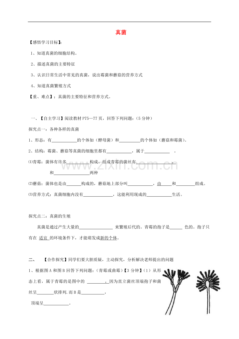 2017-2018学年八年级生物上册5.4.3真菌导学案无答案新版新人教版20180822399(数理化网).doc_第1页