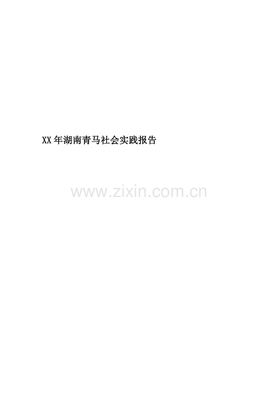 XX年湖南青马社会实践报告.docx_第1页