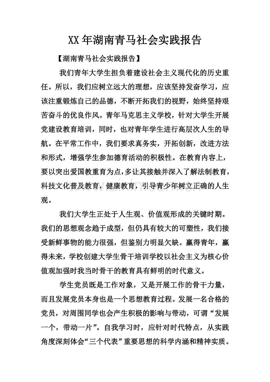 XX年湖南青马社会实践报告.docx_第2页