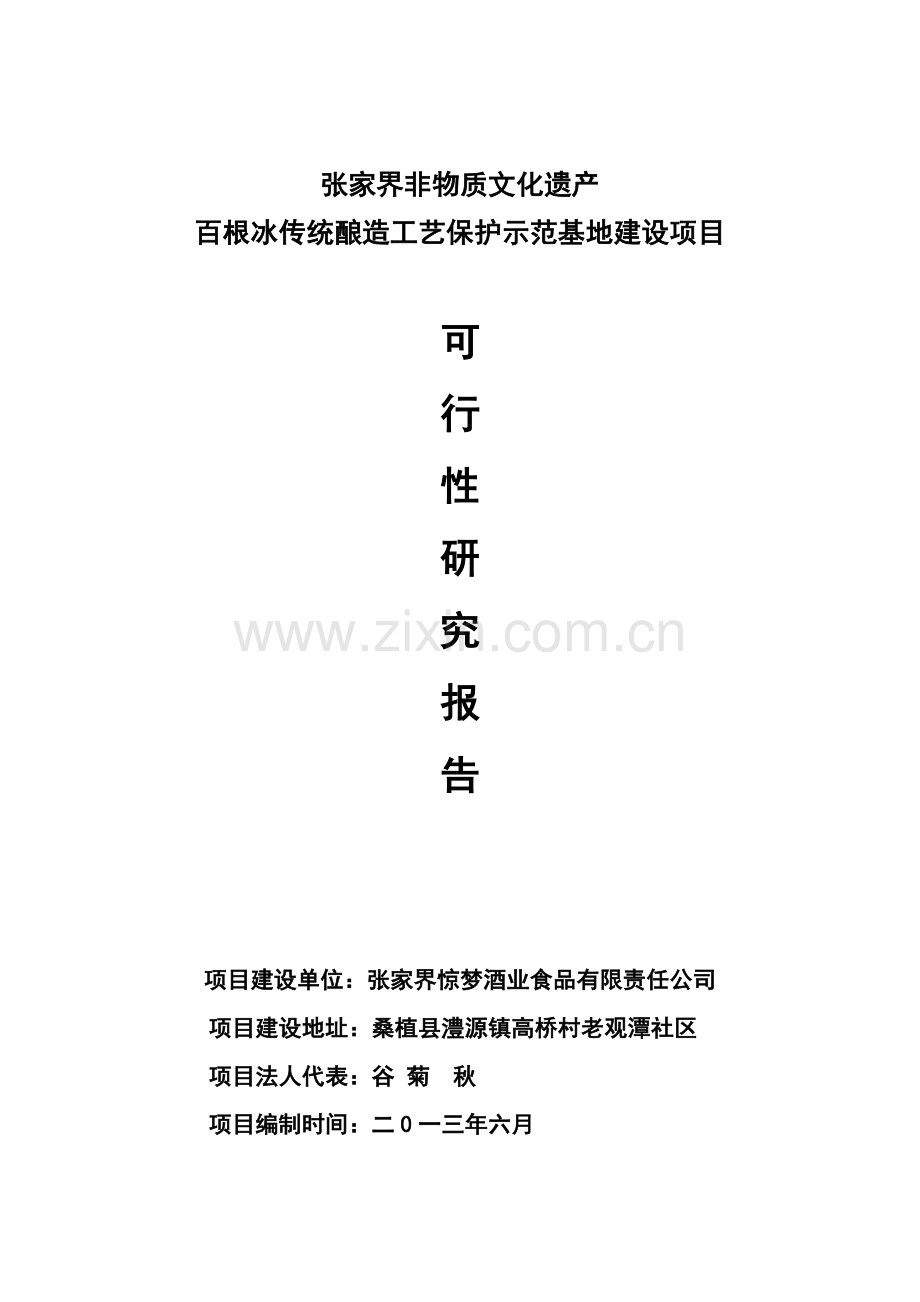 可行性研究报告(0001).doc_第2页