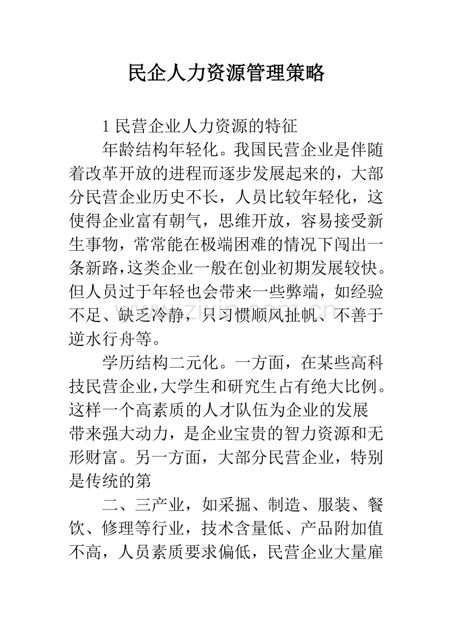 民企人力资源管理策略.docx_第1页