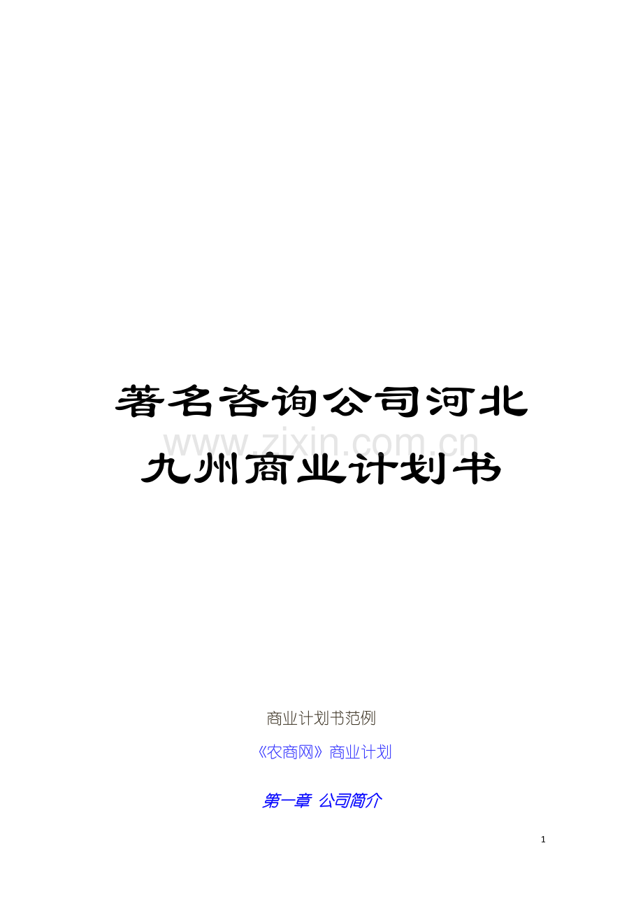 著名咨询公司河北九州商业计划书模板.doc_第1页