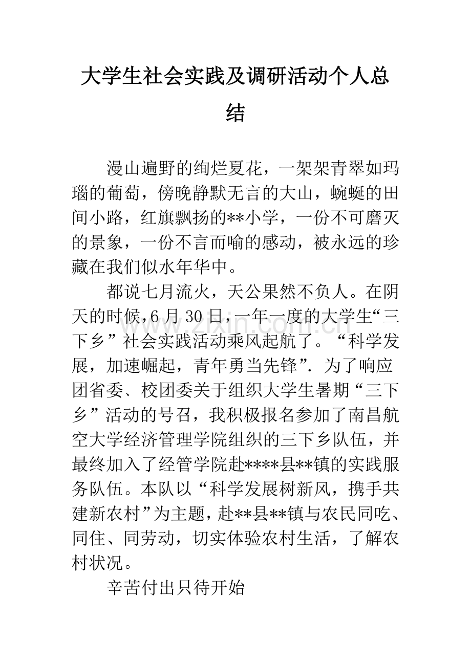 大学生社会实践及调研活动个人总结.docx_第1页