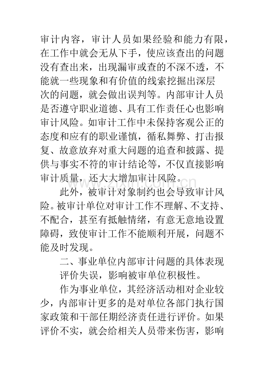 内部审计的专业性和技术性.docx_第3页