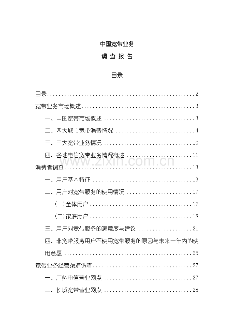 中国宽带业务调查报告.doc_第2页