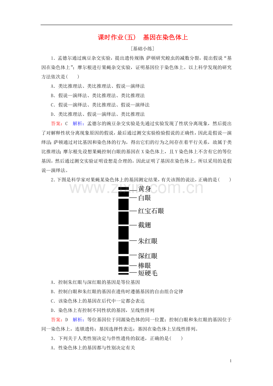 高中生物课时作业5第2章基因和染色体的关系第2节基因在染色体上新人教版必修2.doc_第1页