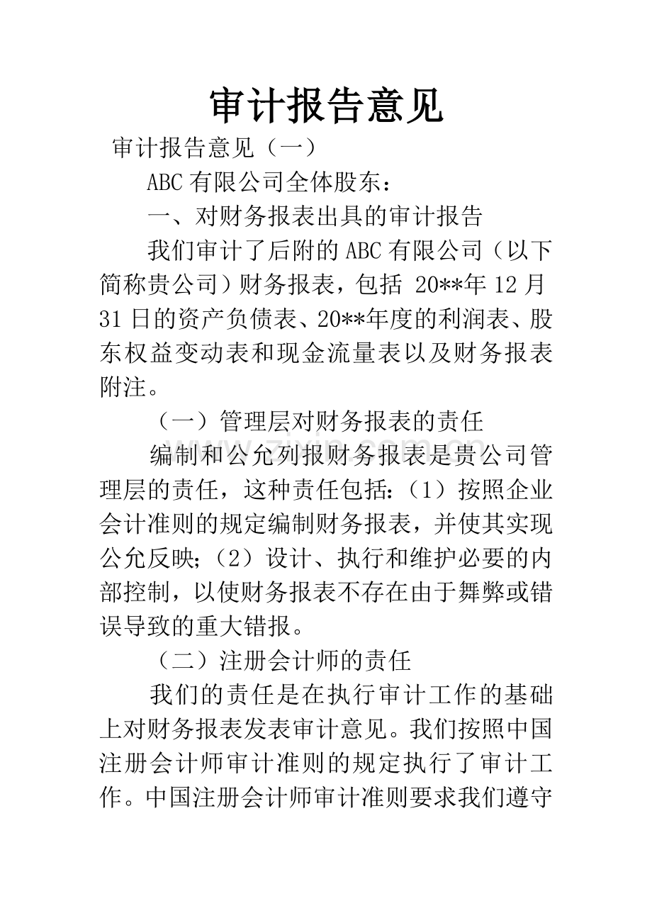 审计报告意见.docx_第1页