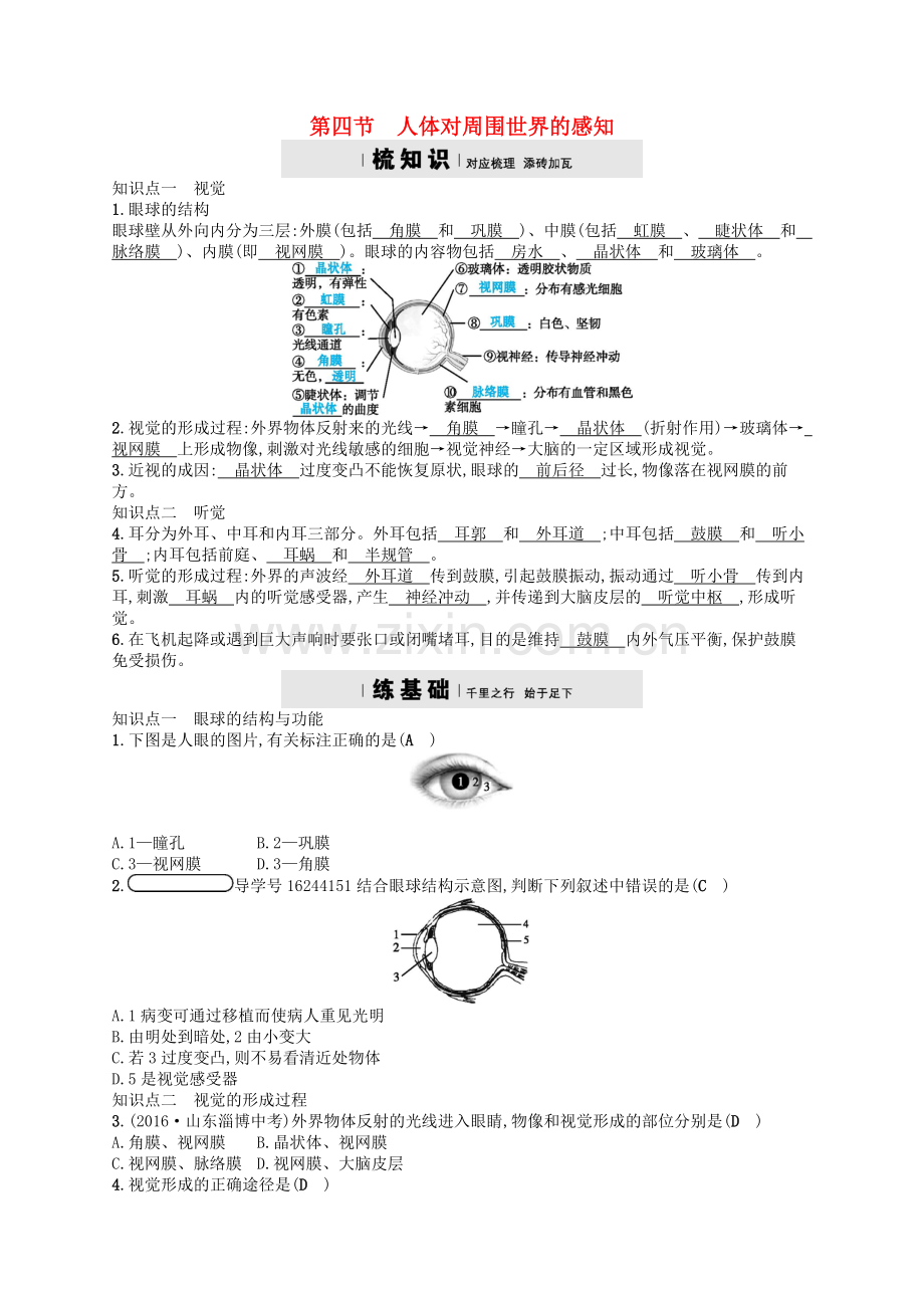 2017-2018学年七年级生物下册3.5.4人体对周围世界的感知检测新.doc_第1页