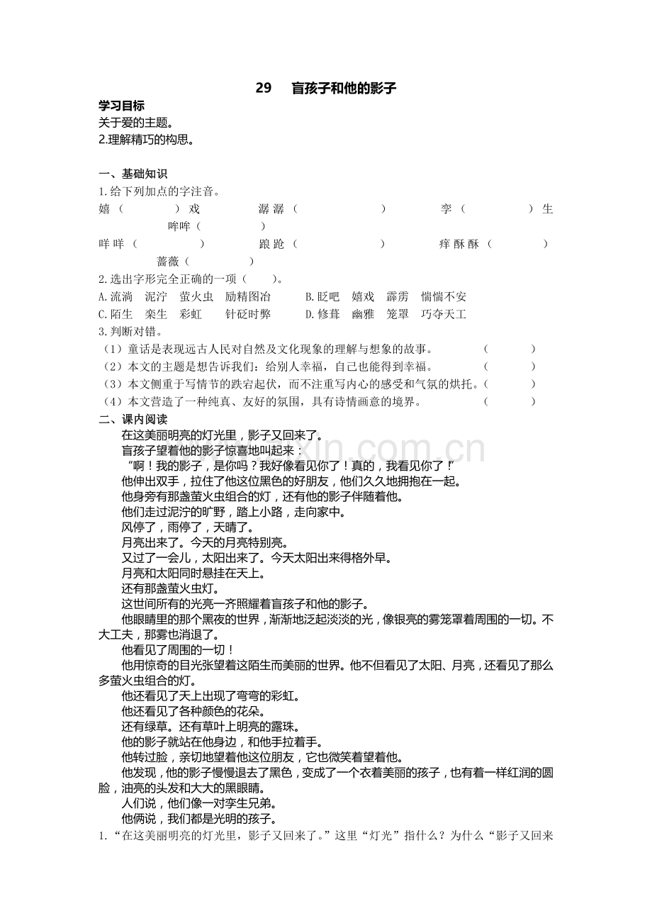 盲孩子和他的影子学案及练习题.doc_第1页