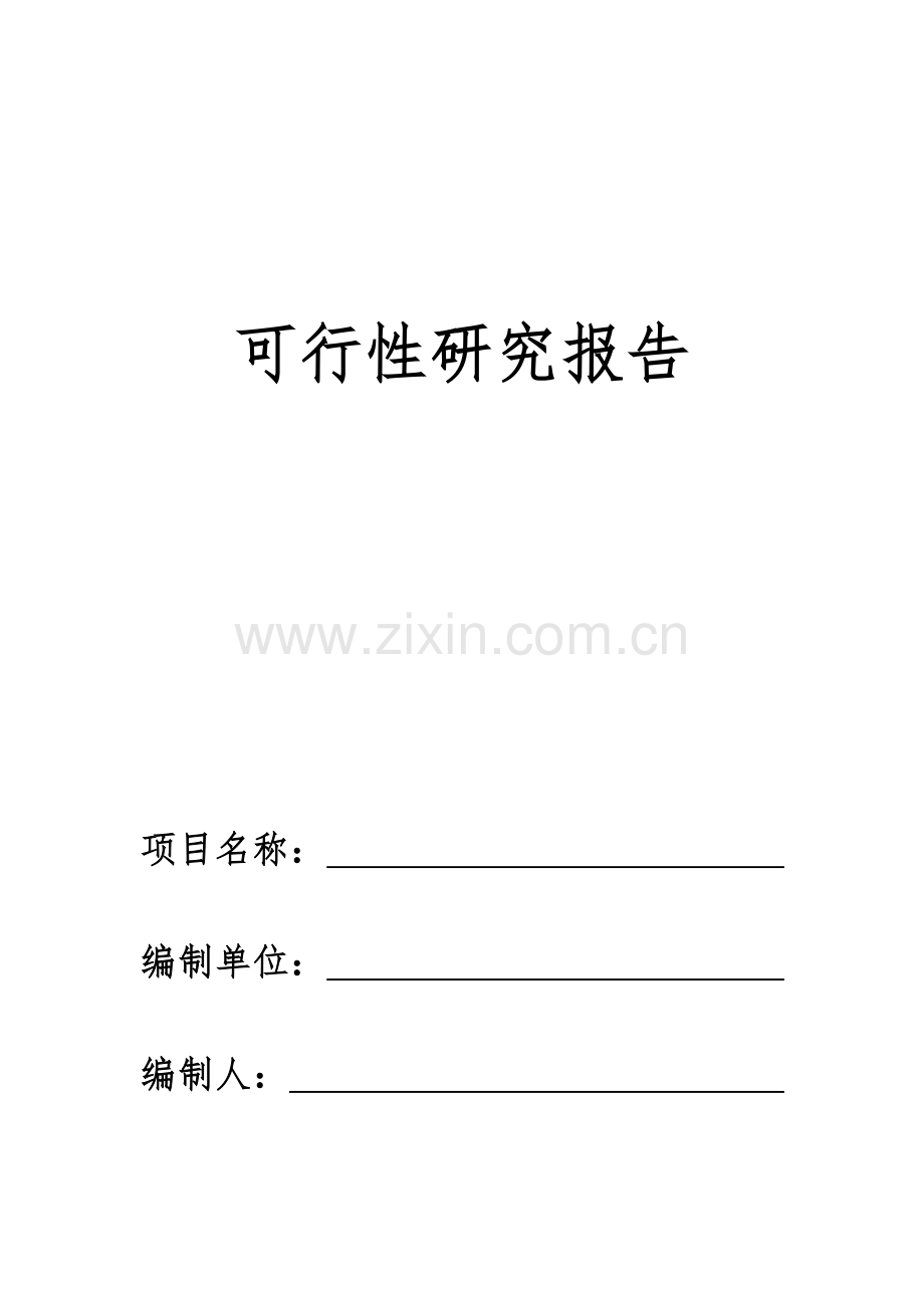 可行性研究报告-(2)(0002).docx_第2页