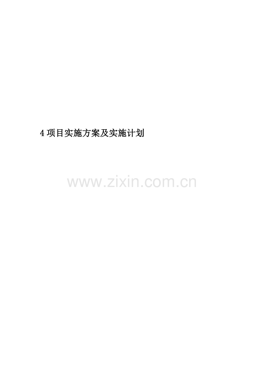 4项目实施方案及实施计划.docx_第1页