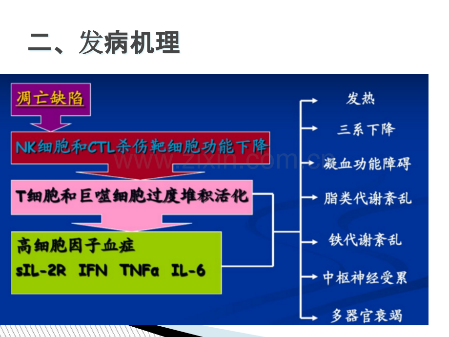 嗜血细胞综合征诊治中国专家共识讲义.pptx_第3页