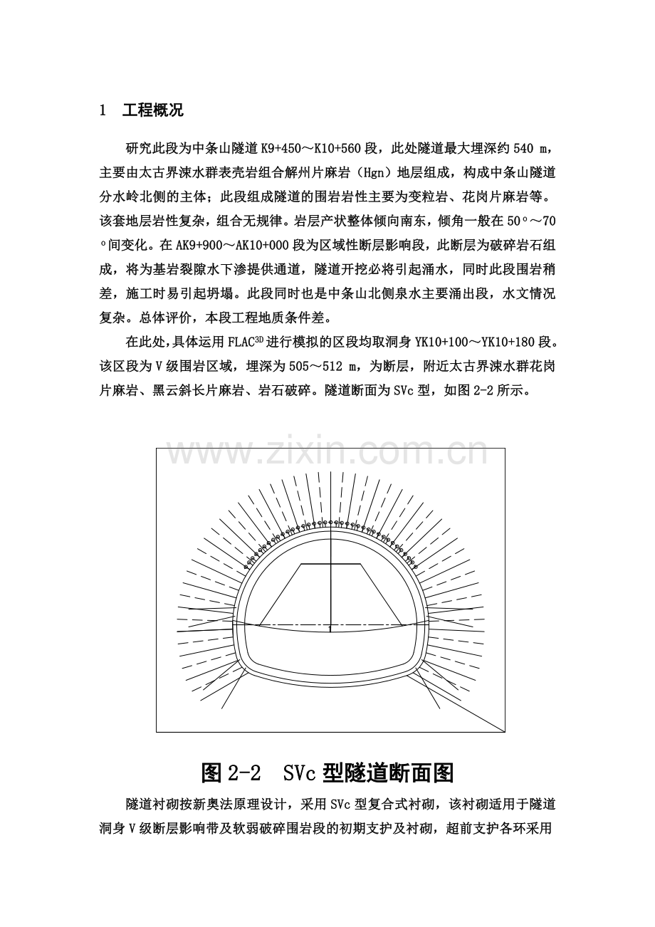 FLAC-数值模拟分析.doc_第2页