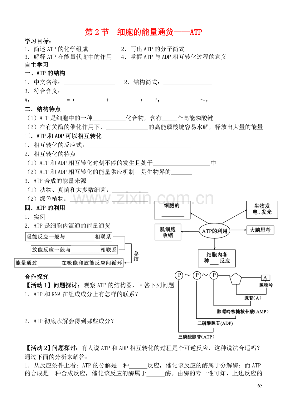 高中生物5.2细胞的能量通货_ATP导学案无答案新人教版必修1.doc_第1页