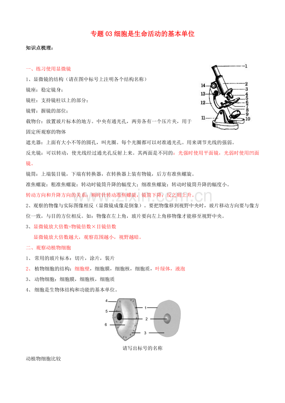 2019_2020学年七年级生物上册专题三细胞是生命活动的基本单位知识梳理及过关检测含解析新版新人教版.doc_第1页