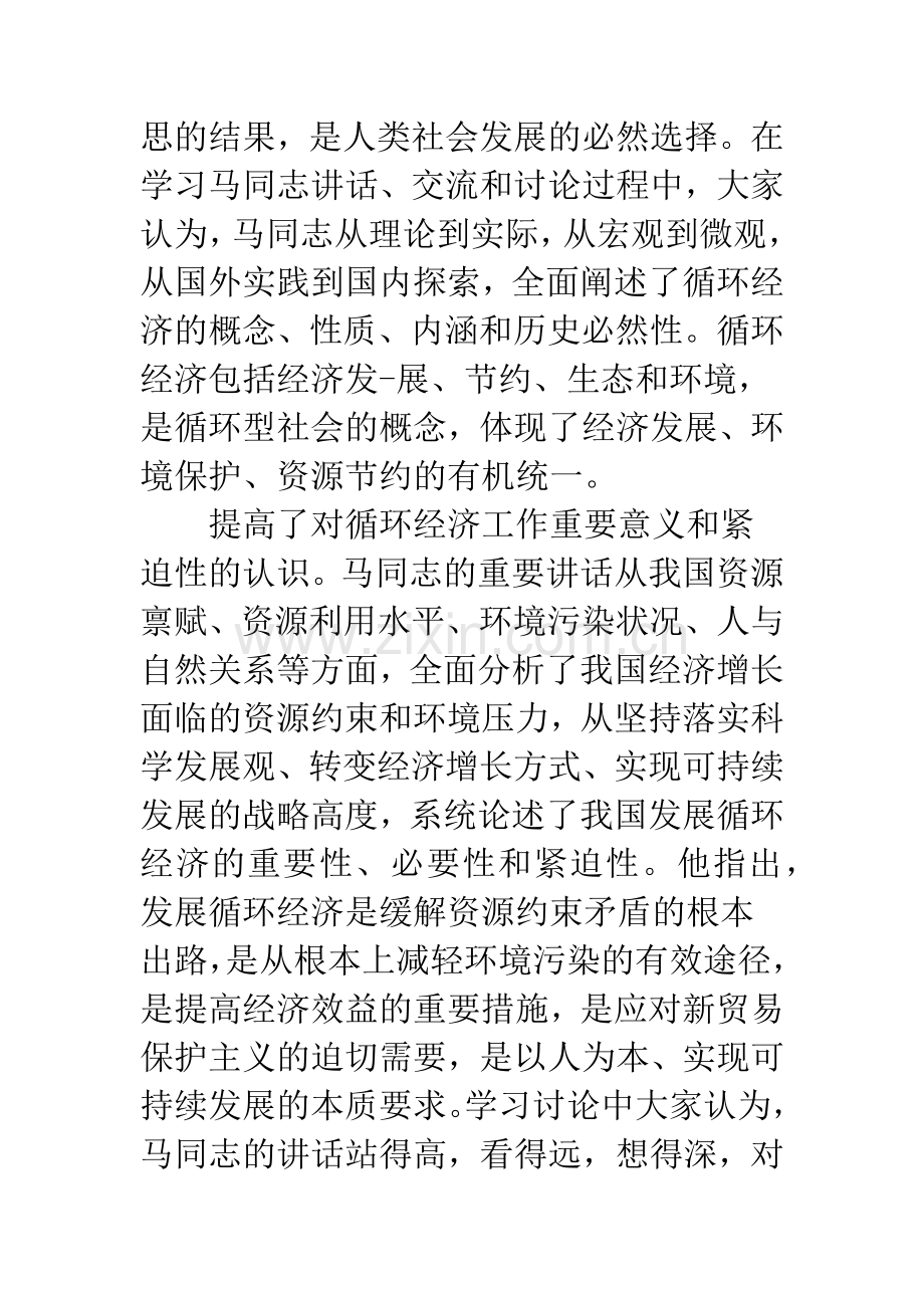 国内循环经济工作务虚会讲话稿.docx_第2页