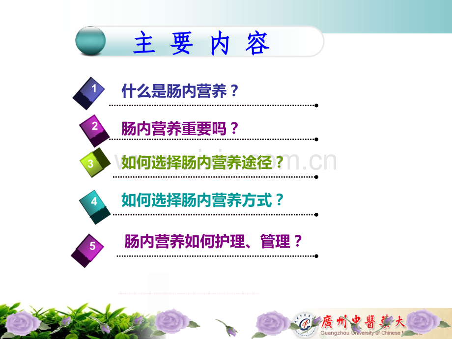 危重病人肠内营养护理PPT课件.ppt_第2页