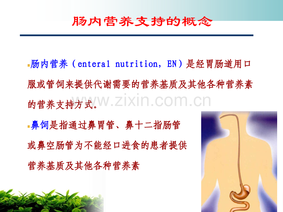 危重病人肠内营养护理PPT课件.ppt_第3页