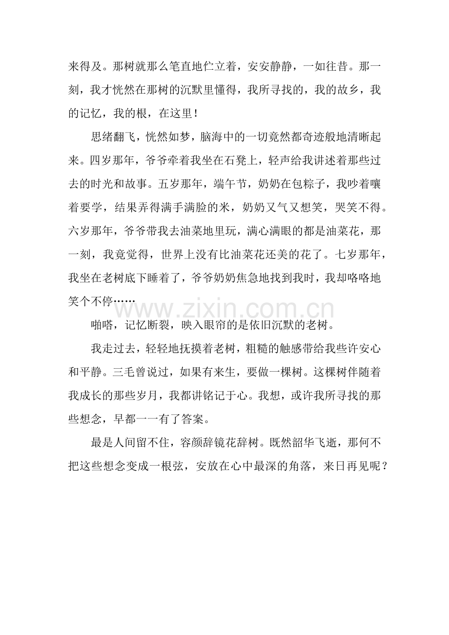 寻找故乡作文800字.docx_第2页