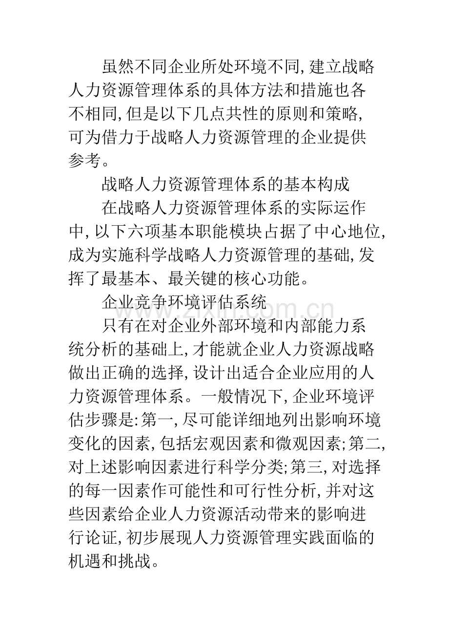 战略人力资源管理体系.docx_第2页