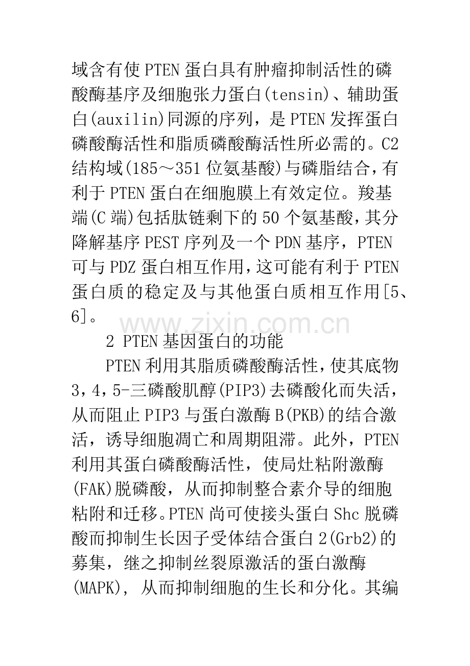 PTEN与妇科肿瘤.docx_第3页