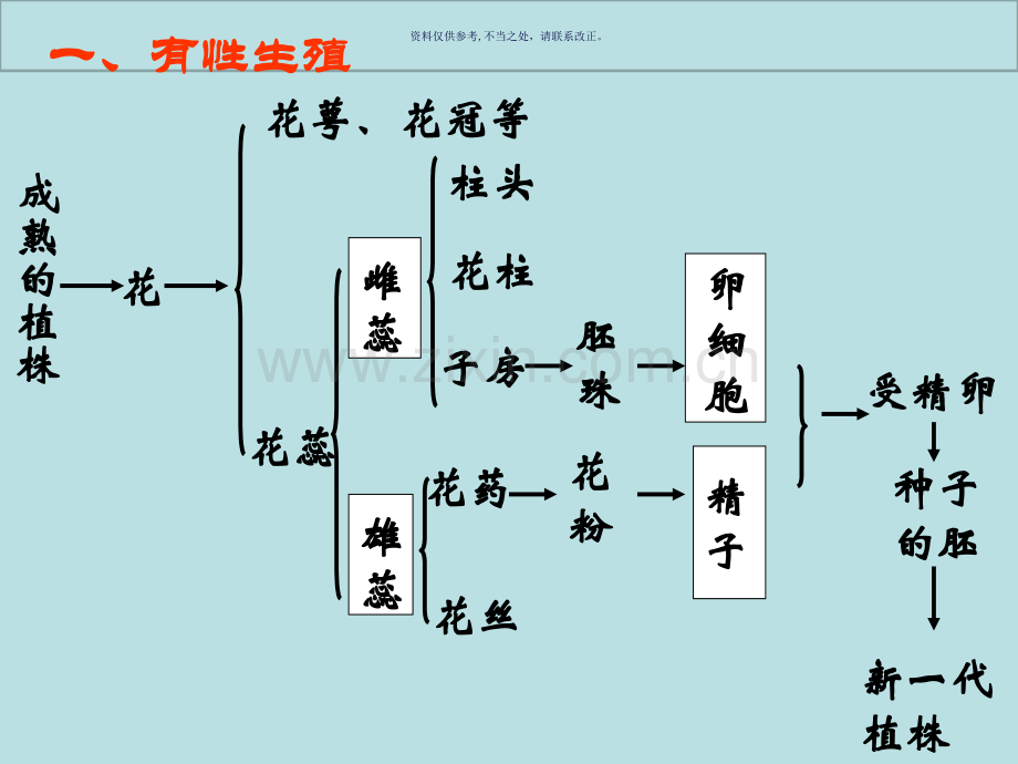 植物的生殖课件.ppt_第2页