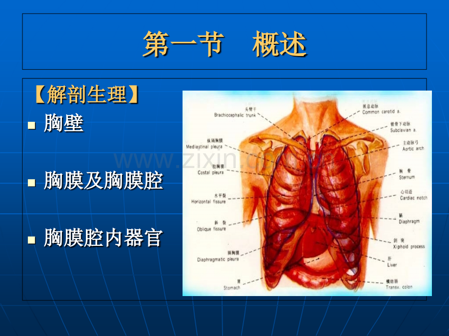 第十八章胸部损伤病人的护理.ppt_第3页