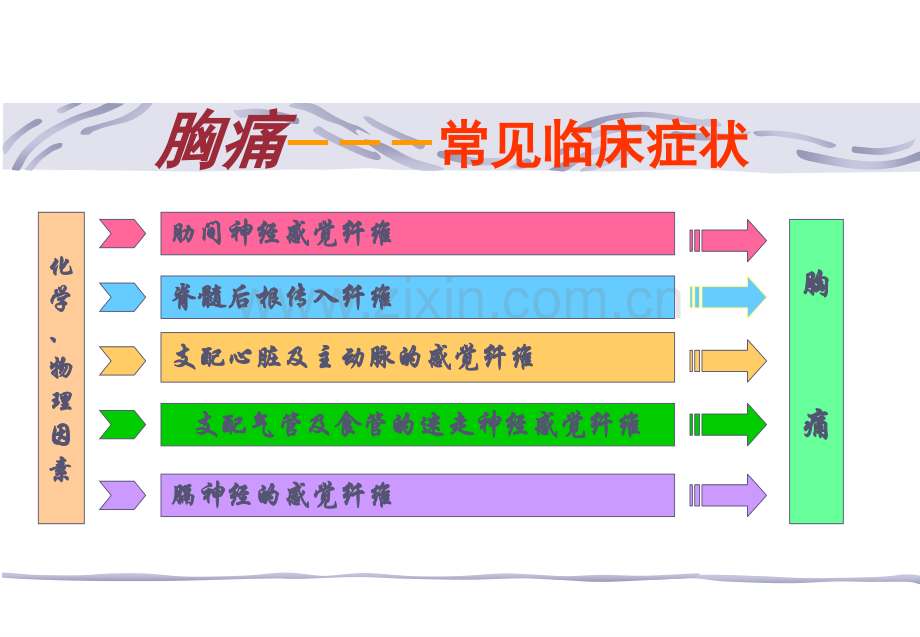 胸痛的诊断思路湘雅.ppt_第2页