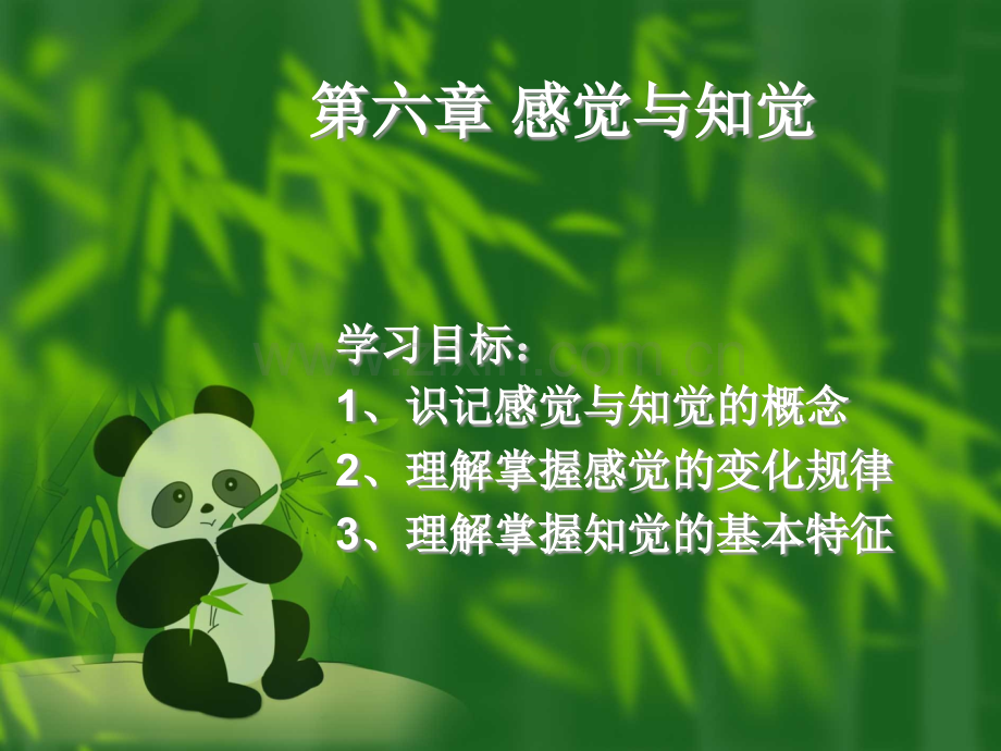 第六章感觉与知觉.ppt_第1页