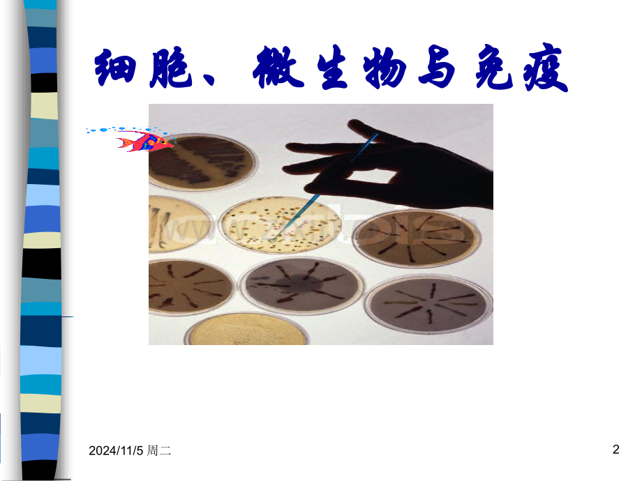 生物制药基础微生物与免疫导论.ppt_第2页