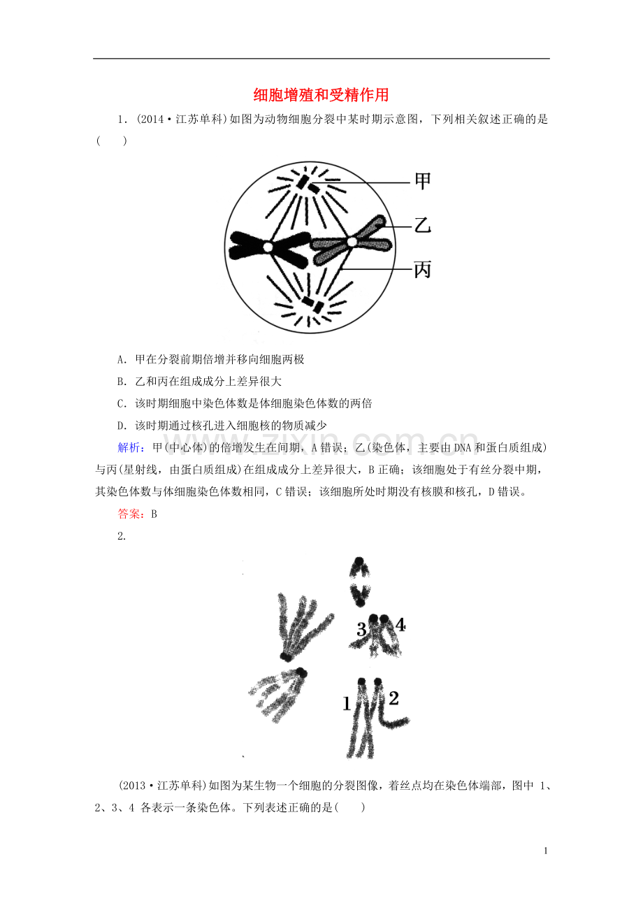 讲与练2021版高考生物二轮复习第一部分专题突破篇专题三细胞的生命历程第5讲细胞增殖和受精作用随堂练习新人教版.doc_第1页