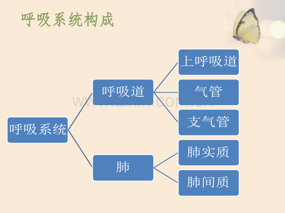 肺功能检查的操作流程目的和注意事项讲解讲义.pptx_第2页