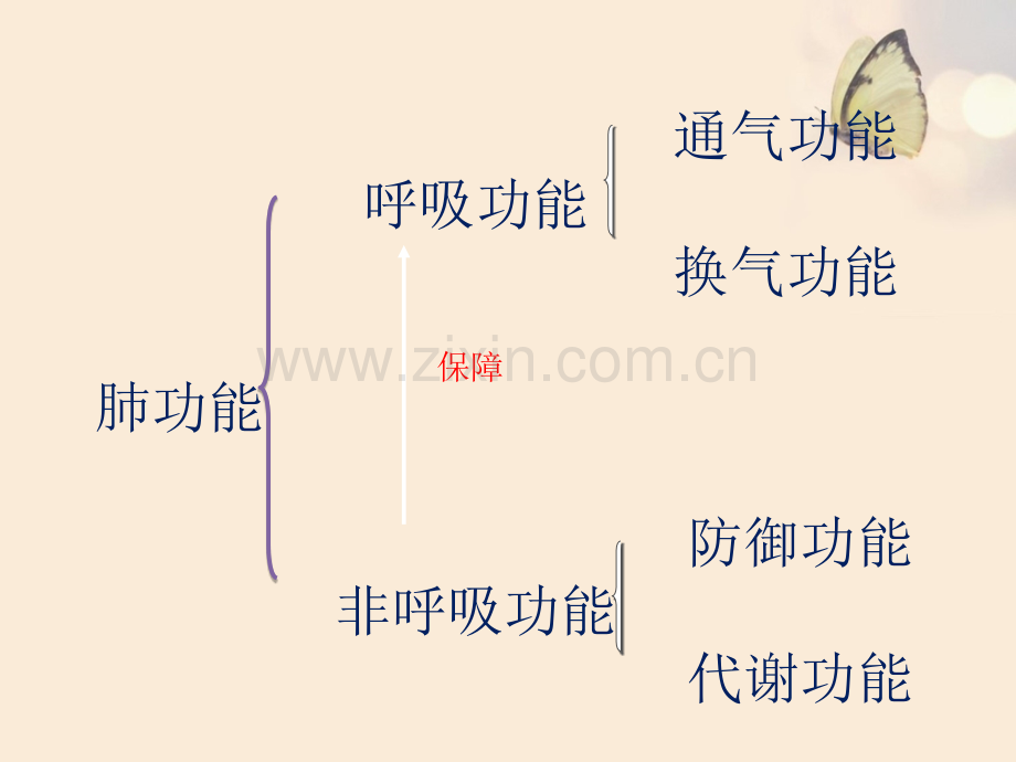 肺功能检查的操作流程目的和注意事项讲解讲义.pptx_第3页