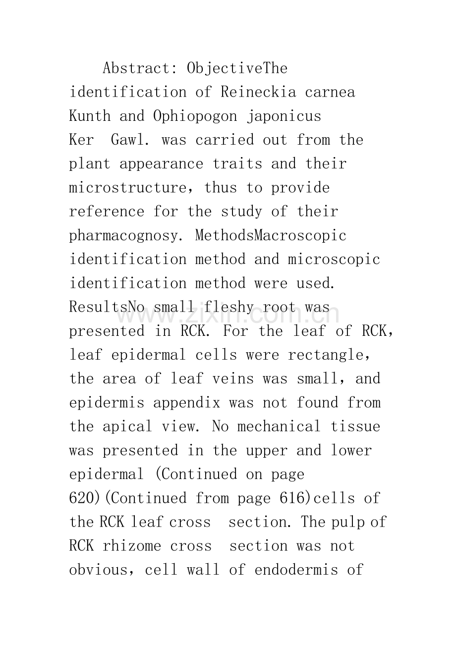 吉祥草与沿阶草的比较鉴别.docx_第2页