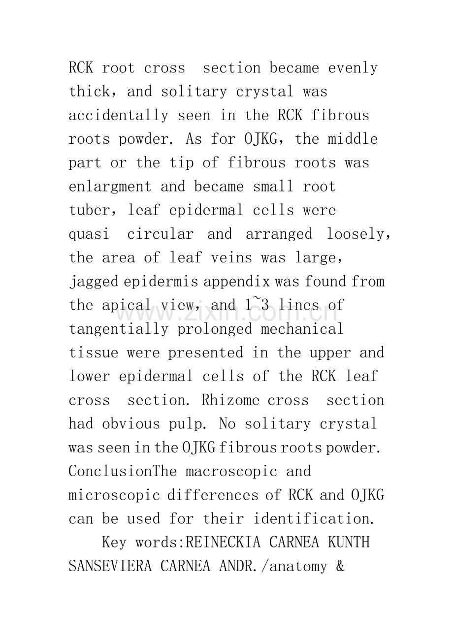 吉祥草与沿阶草的比较鉴别.docx_第3页