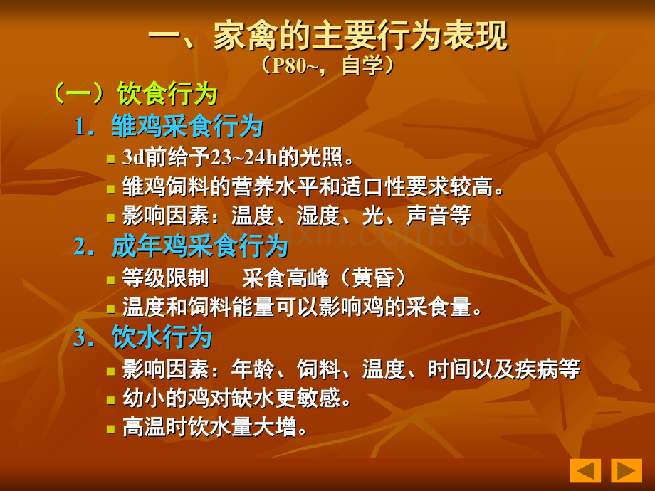 第六章家禽的管理.ppt_第3页