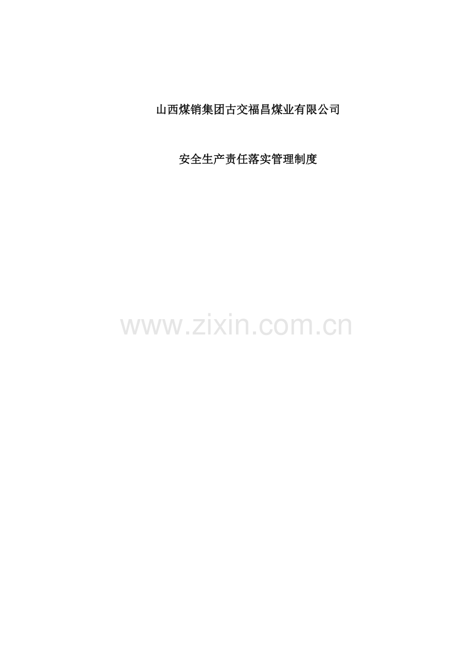 煤业公司安全生产责任落实管理制度.docx_第2页