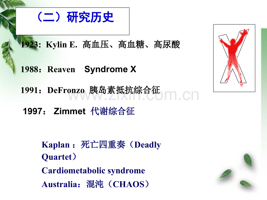 第十四章代谢综合征.ppt_第3页