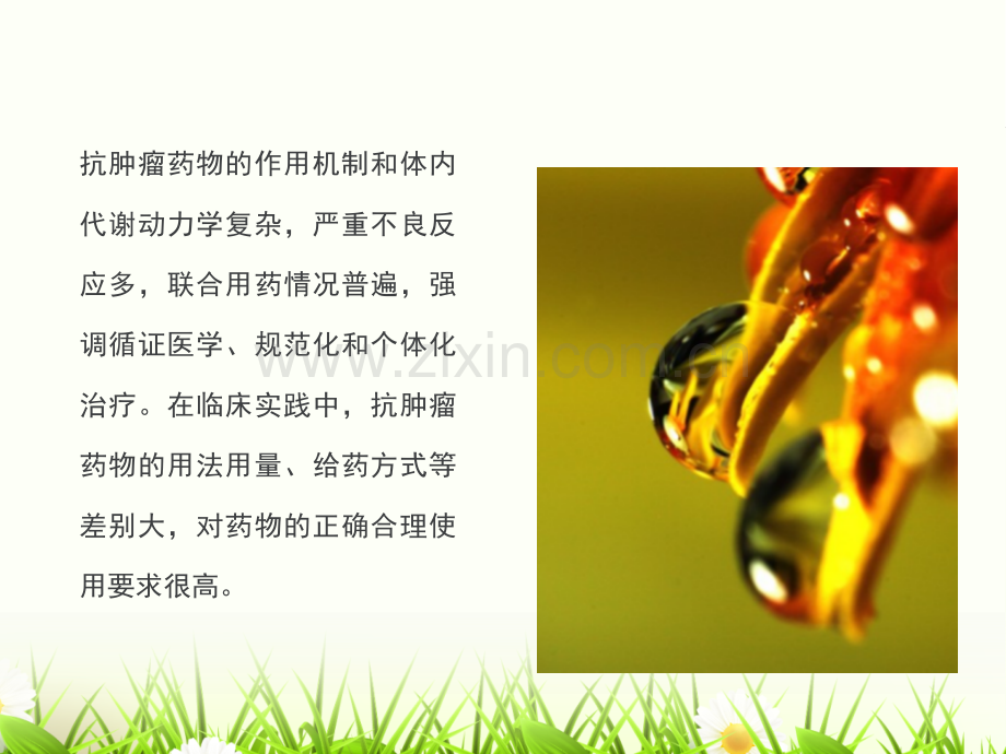 化疗药物的的使用和安全管理-医学课件.ppt_第1页