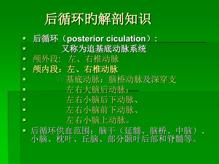 后循环缺血指南.pptx_第2页