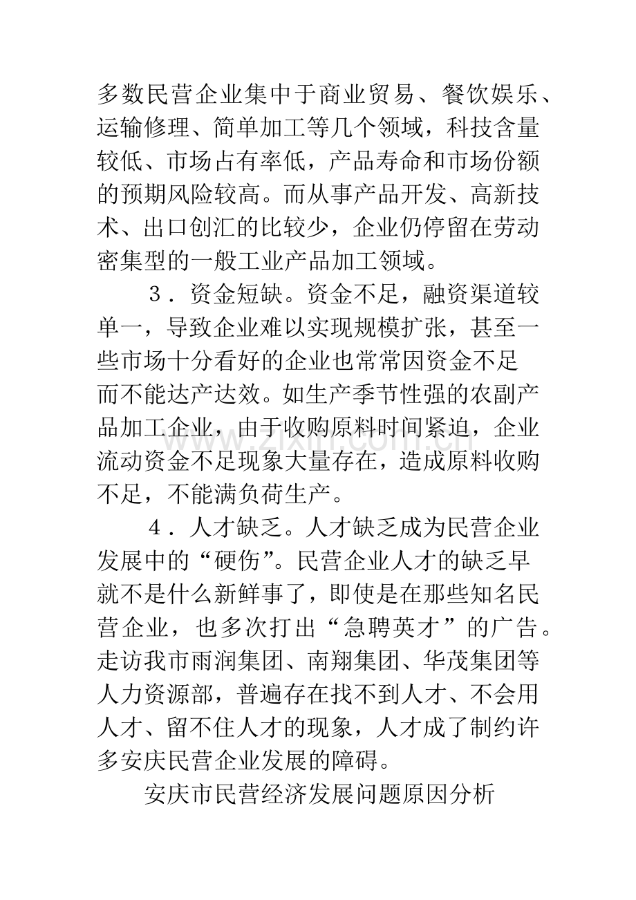 论民营企业经济的发展战略.docx_第3页