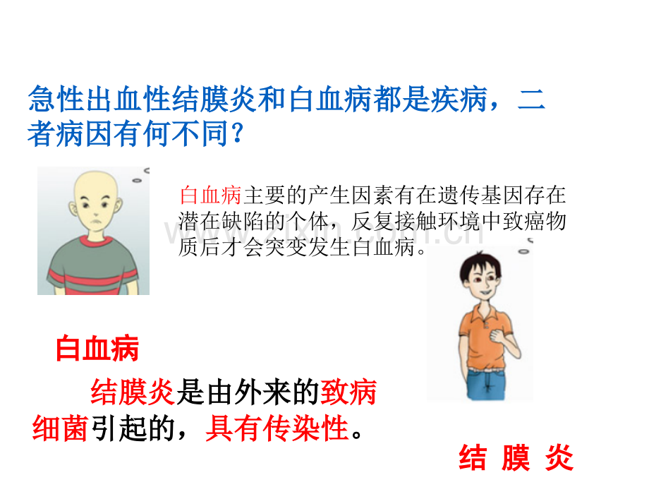 第六章增强免疫预防疾病第二节疾病与预防一、常见的疾病一、常见疾病18.ppt_第3页