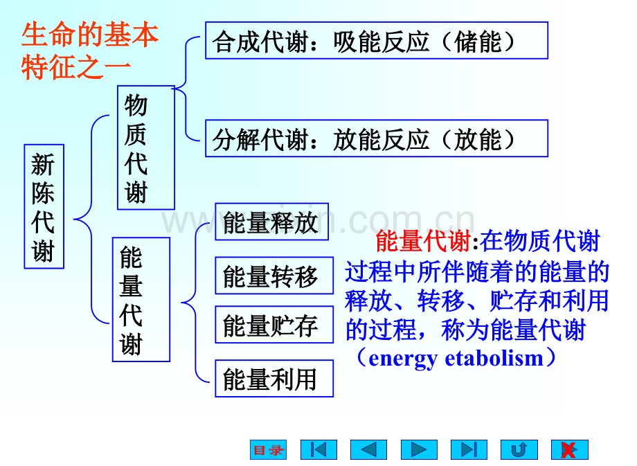 第六章能量代谢与体温(张绪恕).ppt_第3页