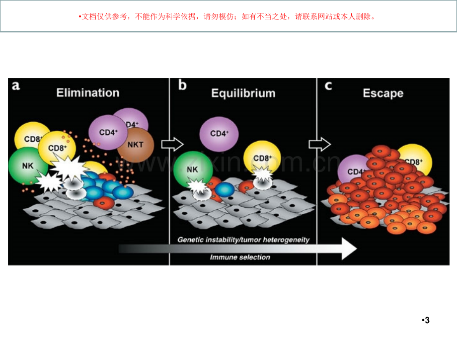 肿瘤免疫医学知识讲座培训课件.ppt_第3页